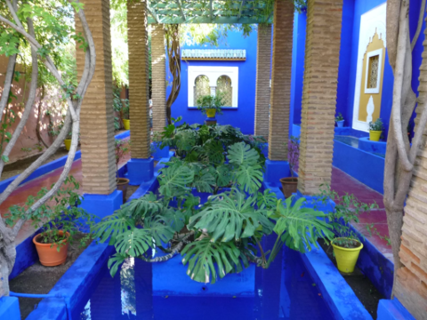 Jardin Majorelle
